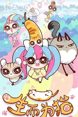 网站优化常见的误区